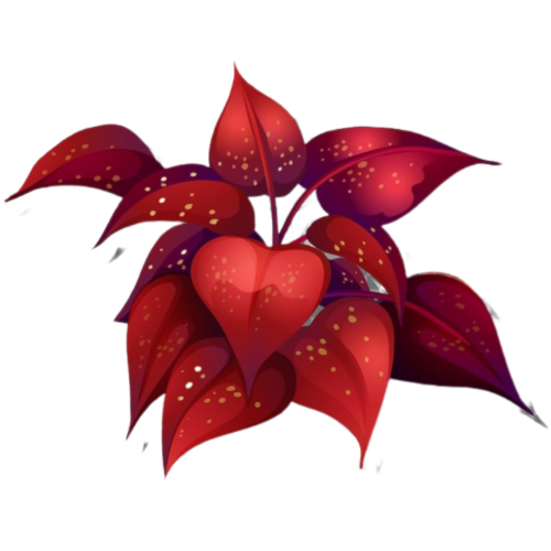 InShot_20250913_214550571